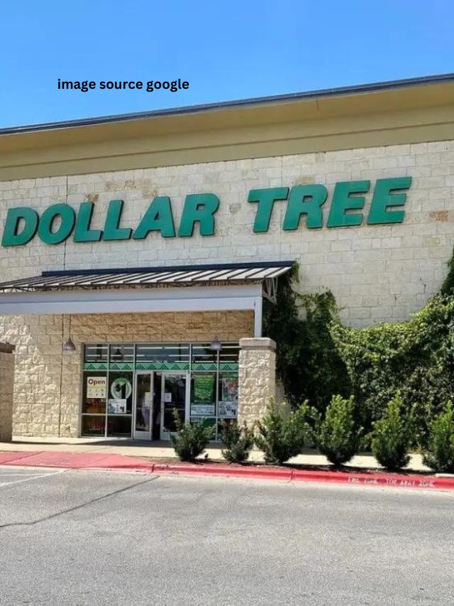 Grocery Items You Should Buy At Dollar Tree Statanalytica