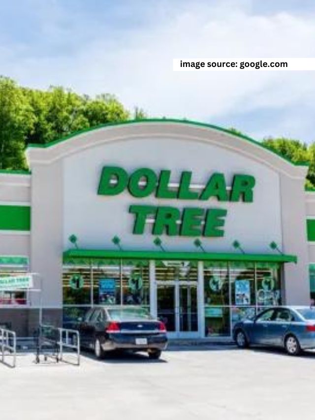 Grocery Items You Should Buy At Dollar Tree Statanalytica