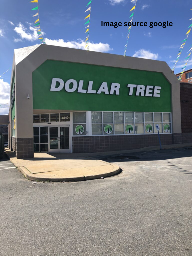 Grocery Items To Buy At Dollar Tree In November Statanalytica