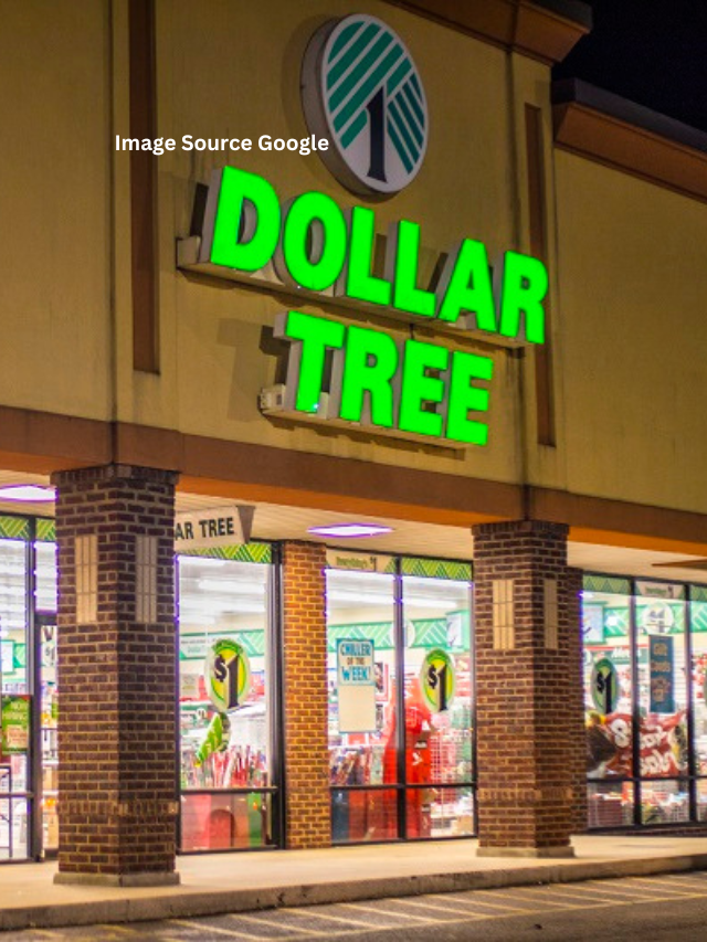 10 Things You SHOULD Be Buying At Dollar Tree In January 2024