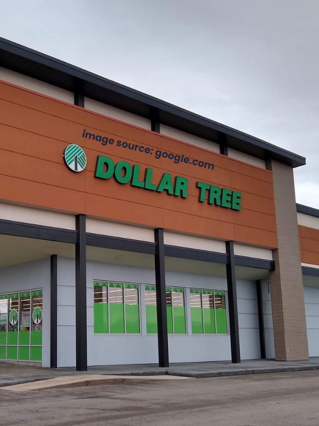 Items To Always Buy At The Dollar Tree Statanalytica