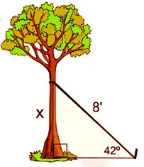 math-example
