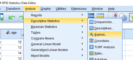 Descriptive Analysis SPSS