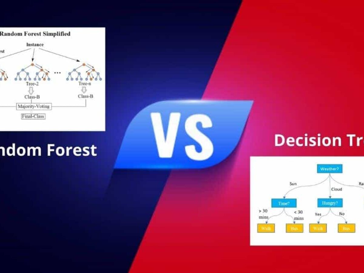 Random forest best sale for dummies