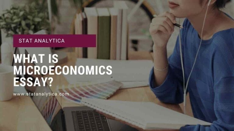 microeconomics essay introduction