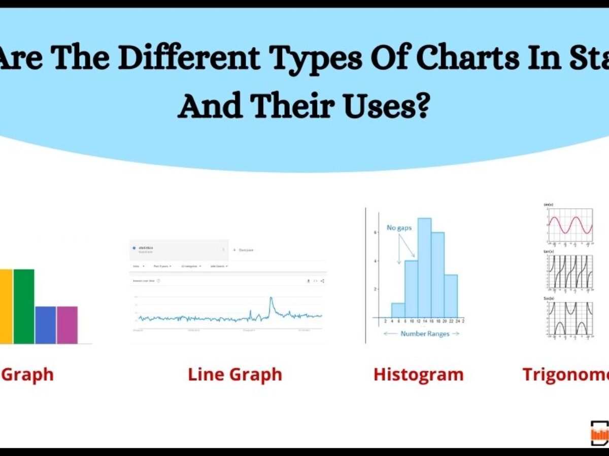 What Are The Different Types Of Charts In Statistics And Their Uses 1200x900 