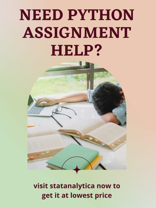 Python Assignment Help