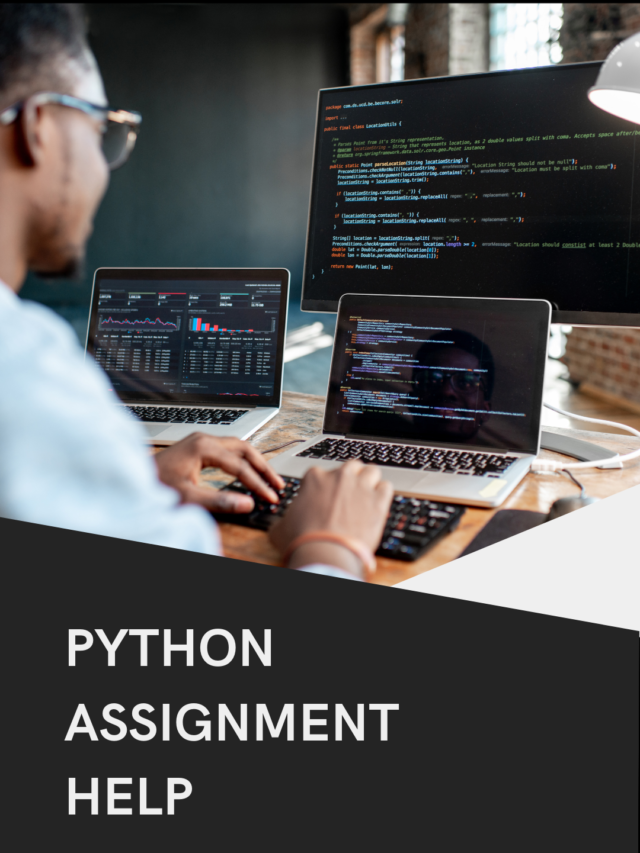 python coding assignment help
