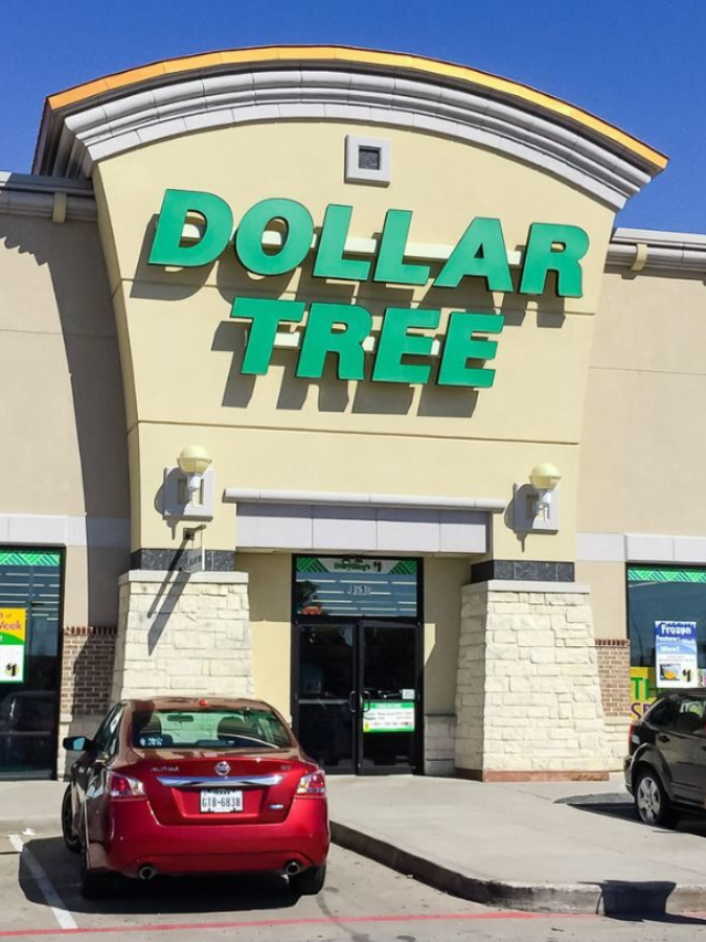 Dollar Tree Items You Can Find on