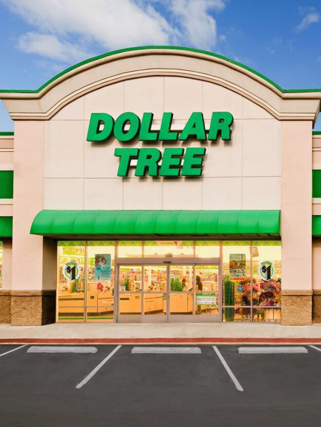 6 Dollar Tree Items You'd Think Were More Expensive But They're Not -  StatAnalytica