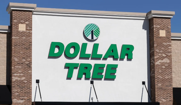 5 Dollar Tree Brand-New Items Are Worth Buying Now - CourseMentor™