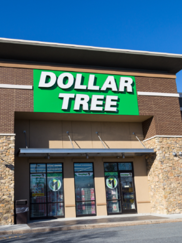 7 Best New Dollar Tree Grocery Items to Fight Inflation - StatAnalytica