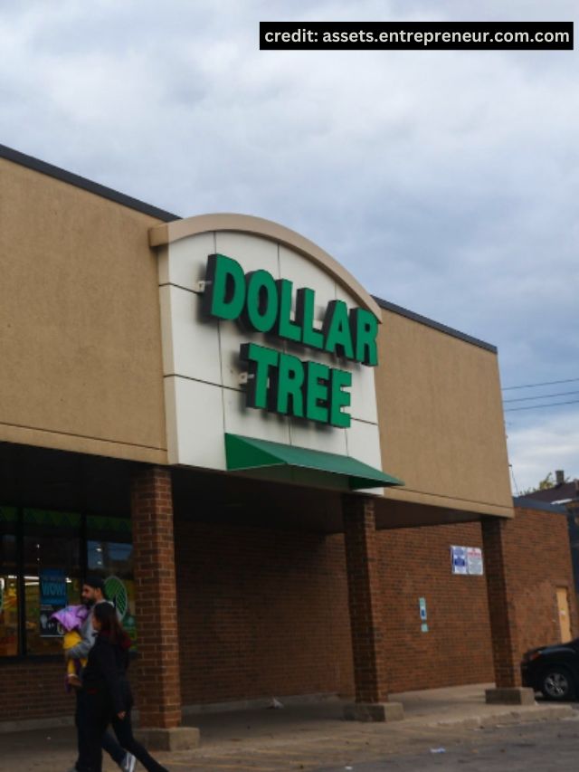 5 Dollar Tree Items That Are Worth Buying Now - StatAnalytica