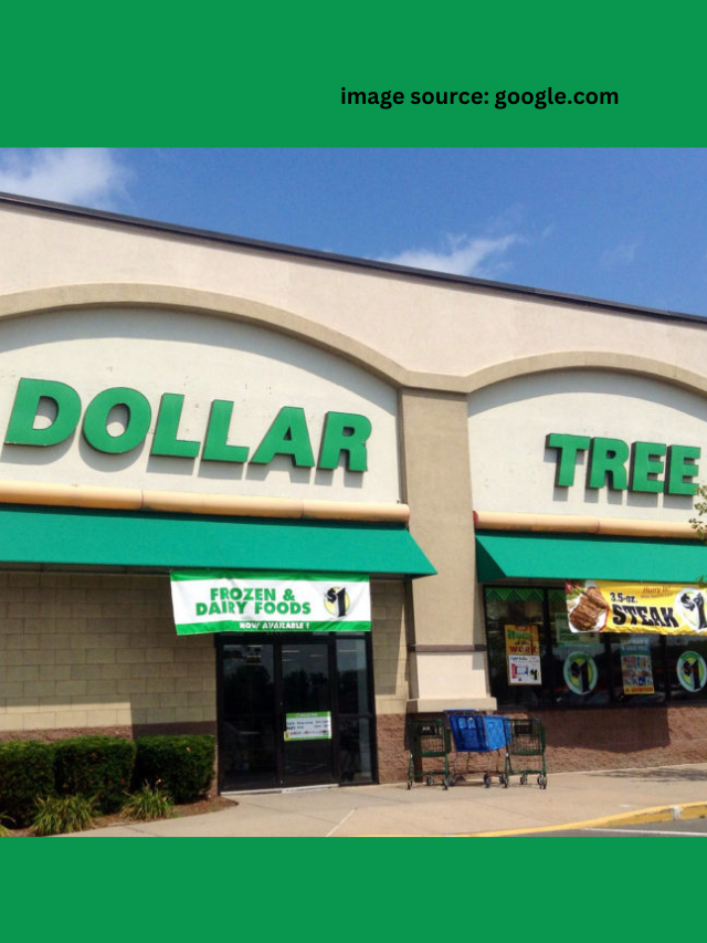 7 Best Dollar Tree Items To Stock Up Right Now Statanalytica