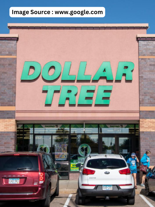 5 Dollar Tree Items That Are Worth Buying Now - StatAnalytica