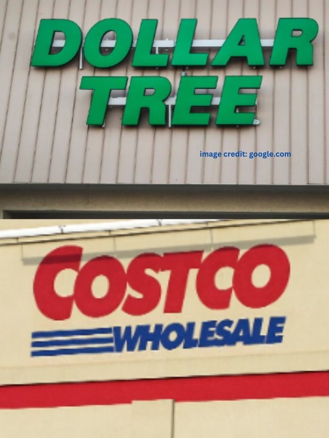 5 Things That Are Surprisingly Cheaper at Dollar Tree Than at Costco