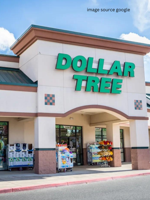 5 Brand New Dollar Tree Items That Will Cost More At Target In October