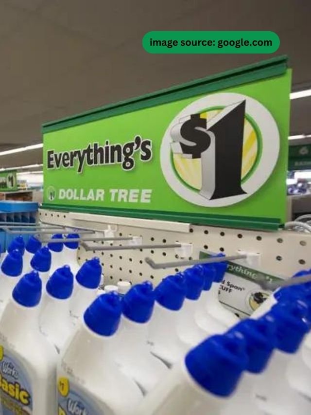 6 Dollar Tree Items You'd Think Were More Expensive But They're Not -  StatAnalytica