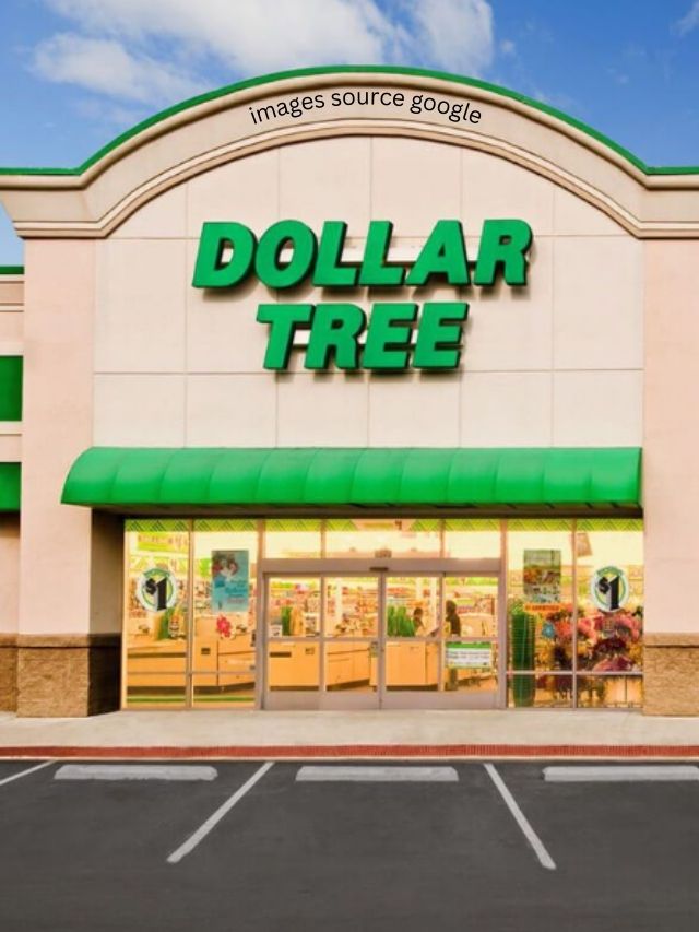 7 Best Dollar Tree Items for Fall 2023 StatAnalytica