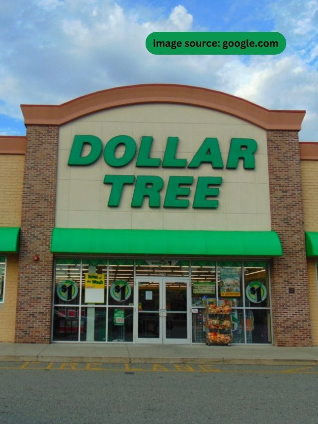 https://statanalytica.com/blog/wp-content/uploads/2023/09/8-Dollar-Tree-Organization-Hacks-That-Just-Make-Sense.jpg