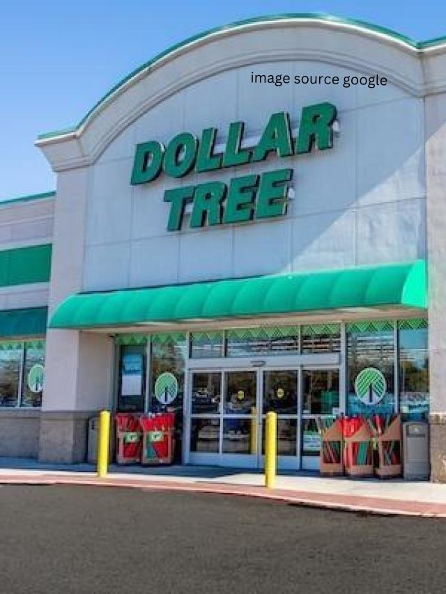 5 Items at Dollar Tree That Cost Way More at Walmart StatAnalytica