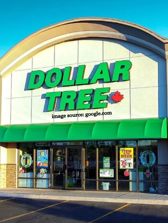 5 Dollar Tree Items That Are Worth Buying Now - StatAnalytica