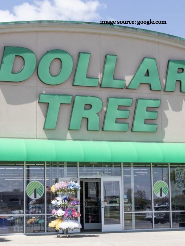 9 Cheap Seasonal Items at Dollar Tree Only Available in the Winter -  StatAnalytica