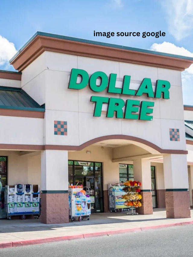 9 Cheap Seasonal Items at Dollar Tree Only Available in the Winter -  StatAnalytica