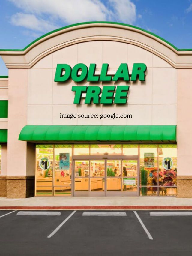 Best Dollar Tree Items To Stock Up On For Thanksgiving Statanalytica