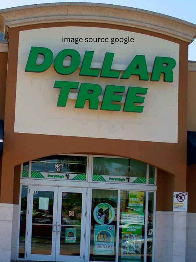 5 Dollar Tree Items That Are Worth Buying Now - StatAnalytica