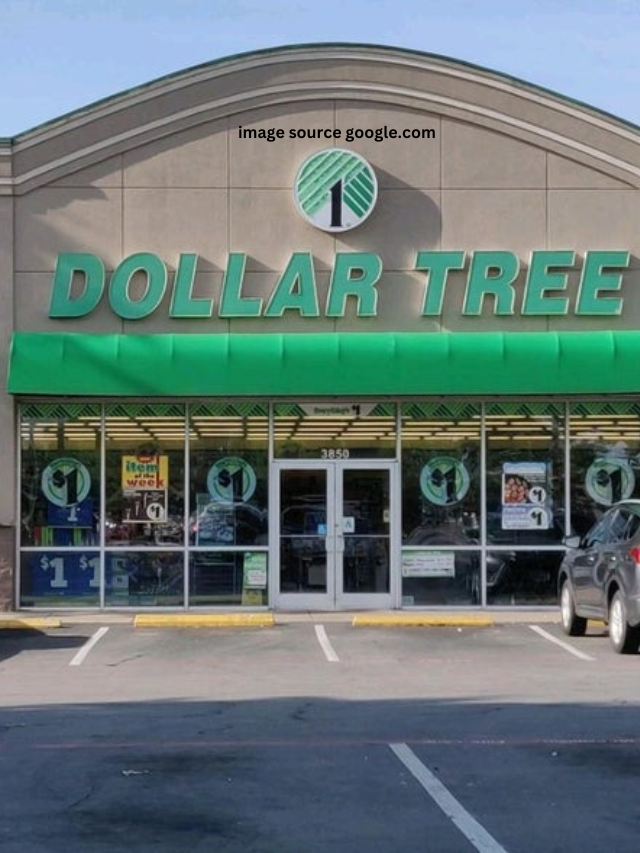 Dollar Tree 5 Winter Items To Stock Up Now Statanalytica