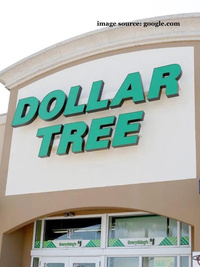 7 Best ExpensiveLooking Things You Can Buy at Dollar Tree StatAnalytica