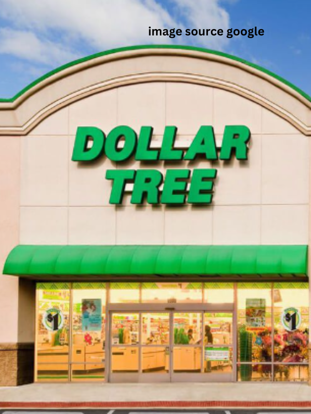 8 DIY Christmas Decor Ideas From Dollar Tree StatAnalytica