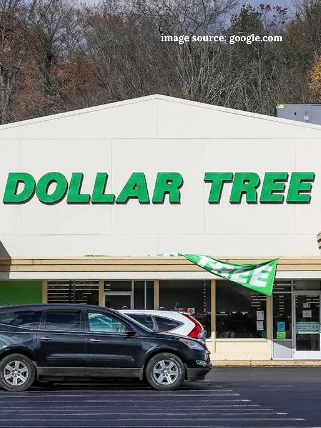 9 Grocery Items To Buy At Dollar Tree This Fall Statanalytica