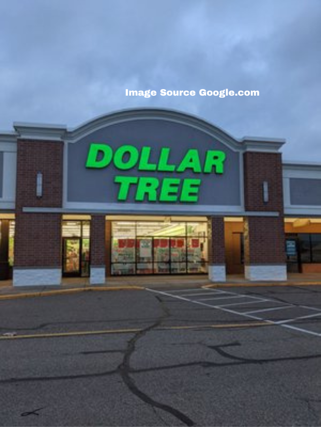 10 Cheap Dollar Tree Holiday Items To Stock Up on in December