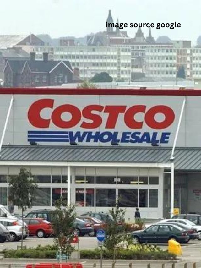 10 New Products at Costco in December StatAnalytica