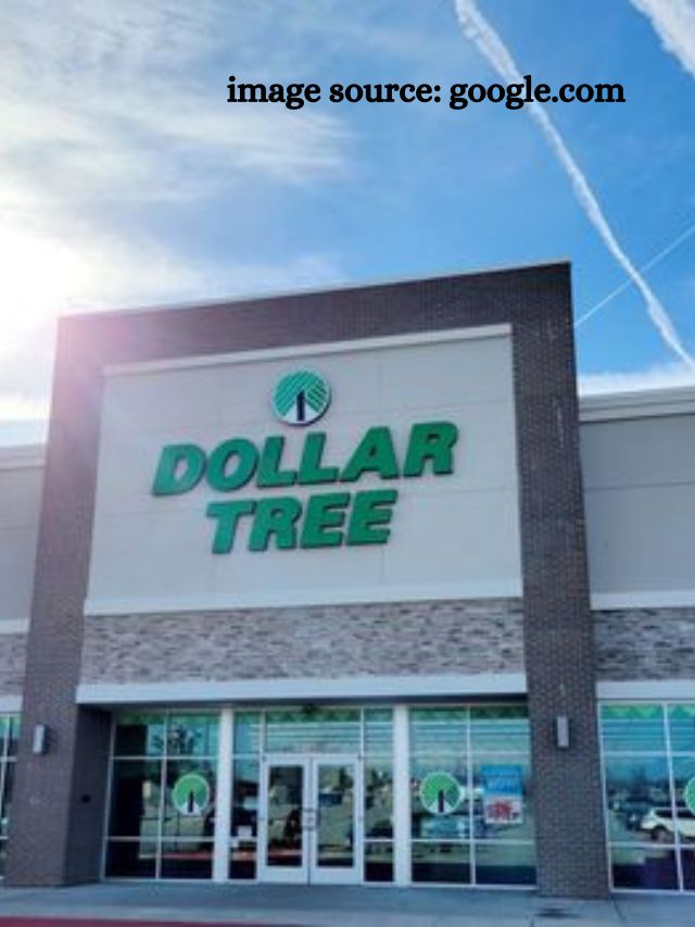 11 Best Dollar Tree Items for Winter 2023 StatAnalytica