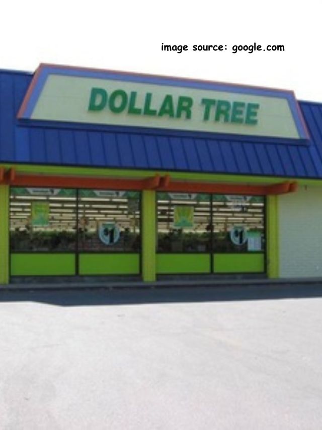 Dollar Tree 7 Best Bonus Buys in December 2023 StatAnalytica