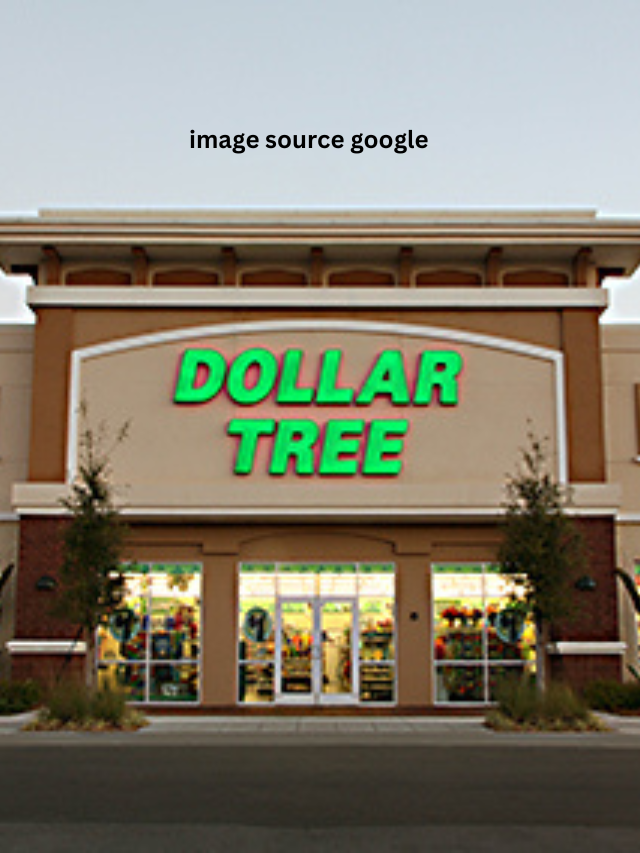 5 Dollar Tree Items That Are Worth Buying Now - StatAnalytica