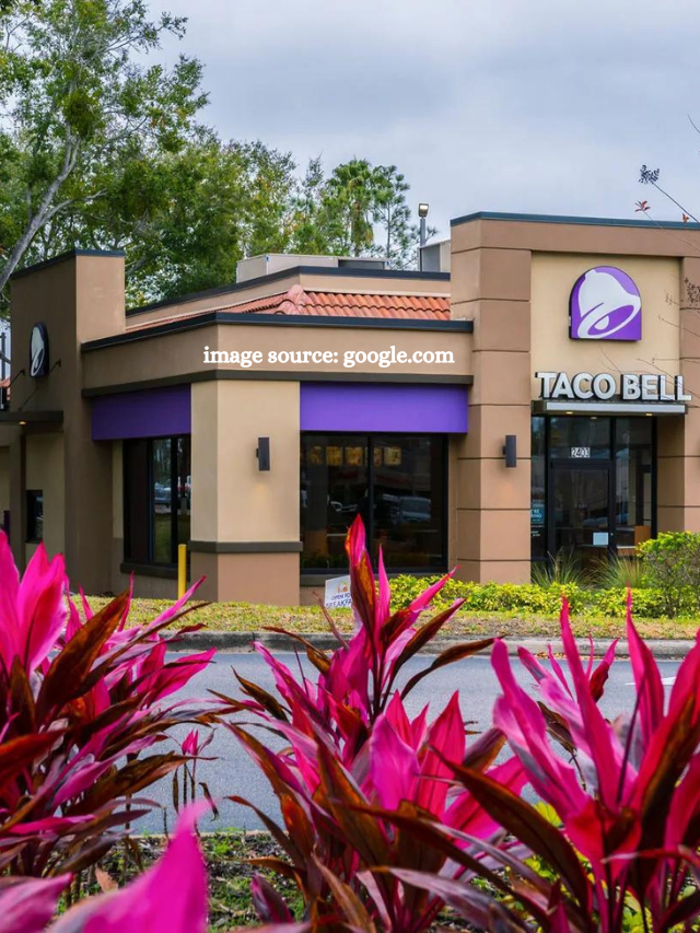 10 Best Taco Bell Menu Items to Add to Your Next Order
