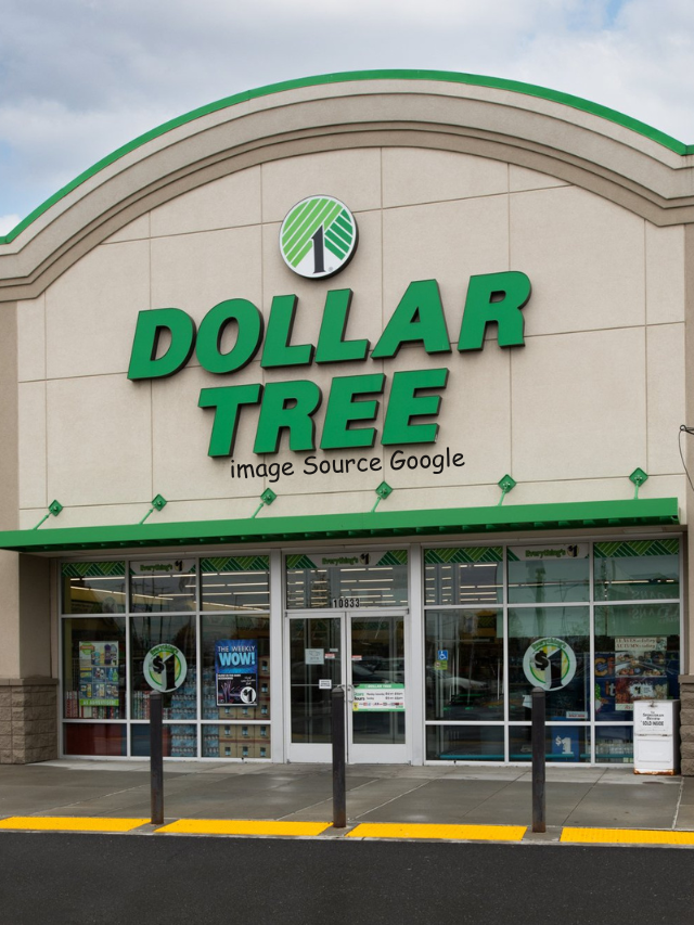 10 Dollar Store Items That Give You the Best Bang for Your Buck