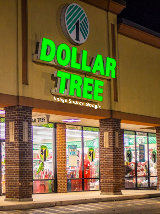 10 Frozen Foods To Buy at Dollar Tree