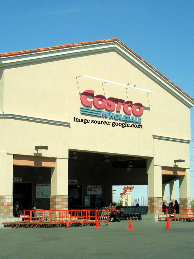 10 Must-Have Costco Buys for Winter - StatAnalytica