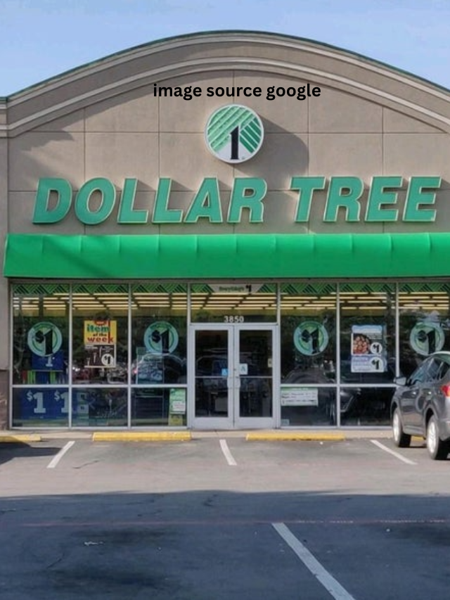 10 Single Best Thing To Buy At Dollar Tree In January 2024 