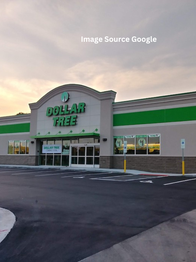 10 Things To Buy At Dollar Tree In 2024 