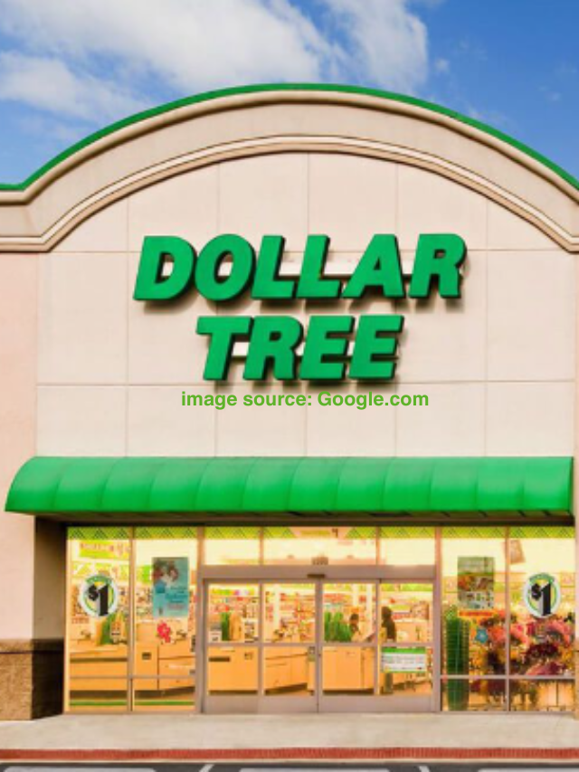 10 Things You Should Avoid Buying at Dollar Tree in January 2024