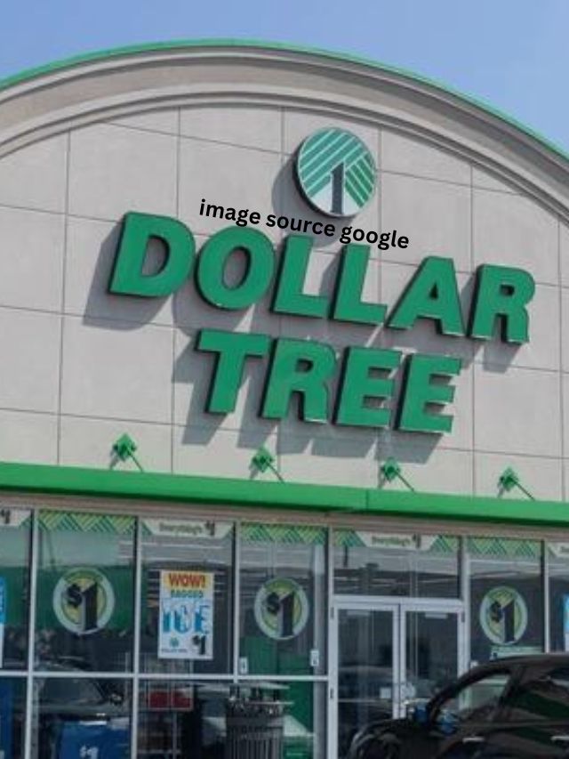 10 of the best Dollar Tree storage and organization ideas