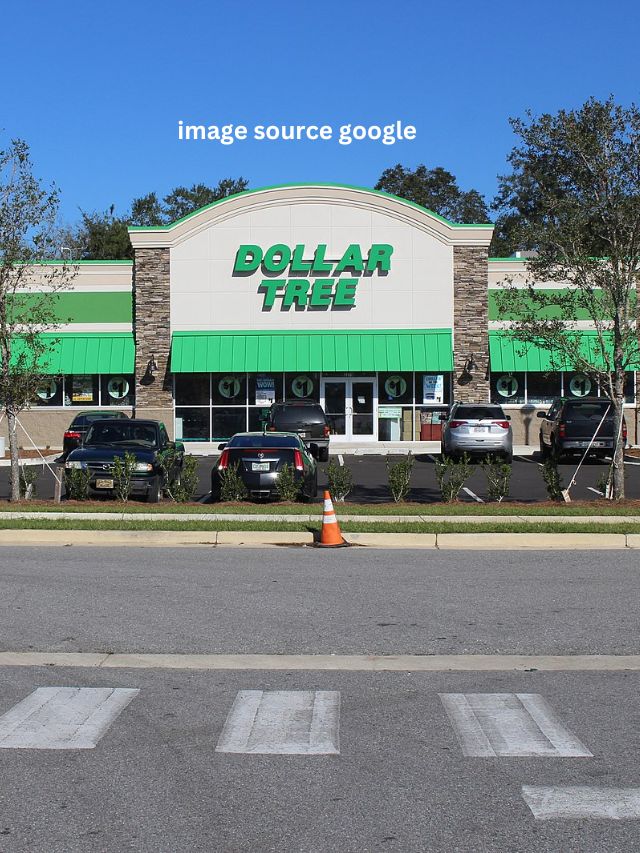 11 Best Dollar Tree Items To Stock Up On for Valentine’s Day