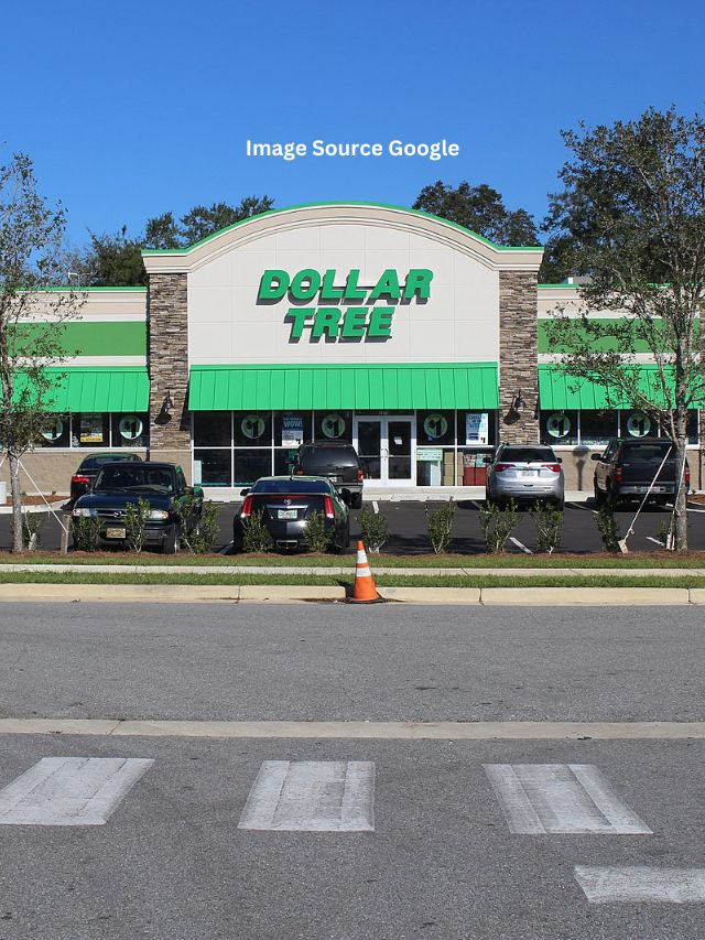 11 Best Healthy Dollar Tree Snacks