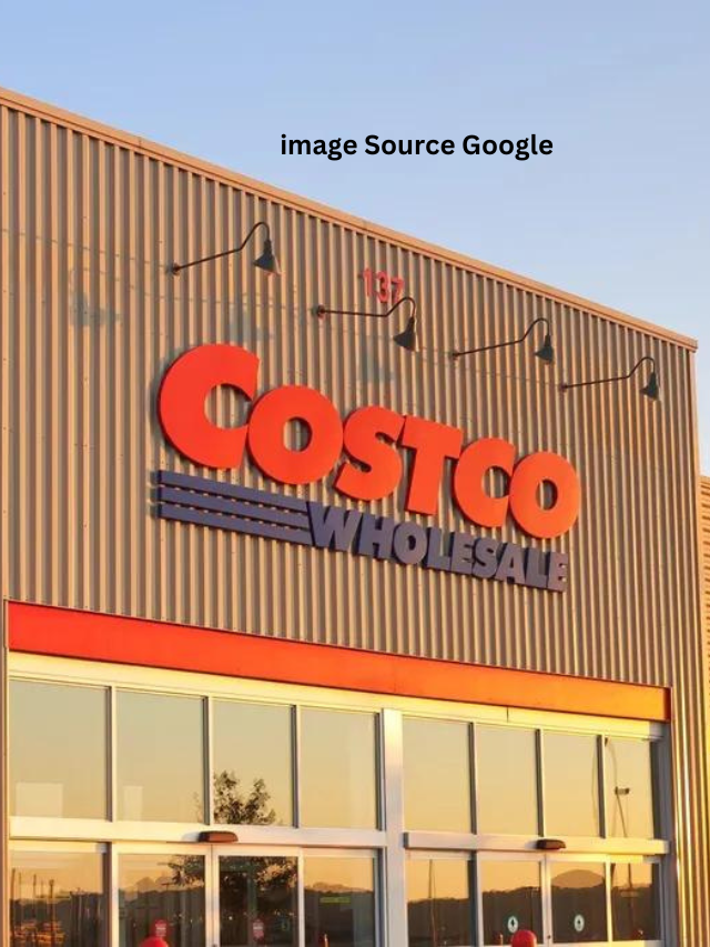 12 Best New Items Coming to costco in January 2024